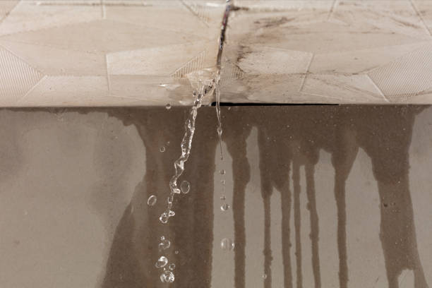 Professional Structural Drying technician working in Manitowoc, WI